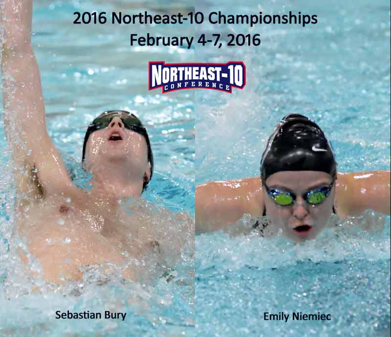 Bentley Swimmers & Divers Set for Northeast-10 Championships