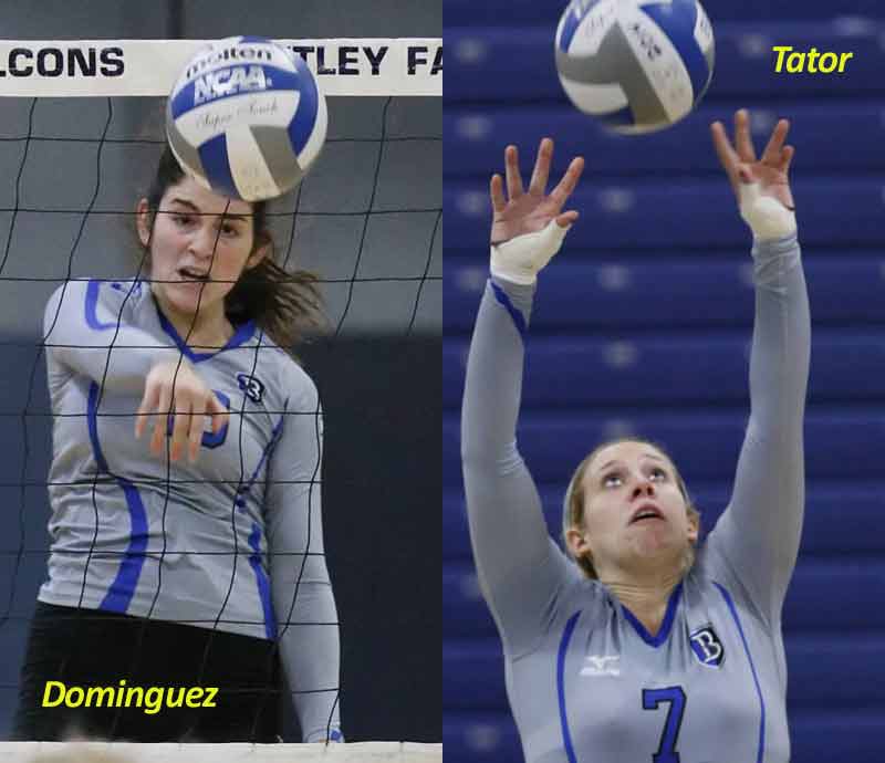 Dominguez and Tator Gain Weekly Honors from Northeast-10