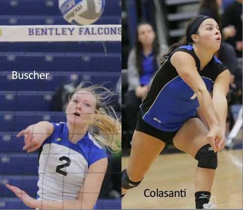 Buscher Named NE-10 Molten Volleyball Player of the Week; Colasanti Also Honored