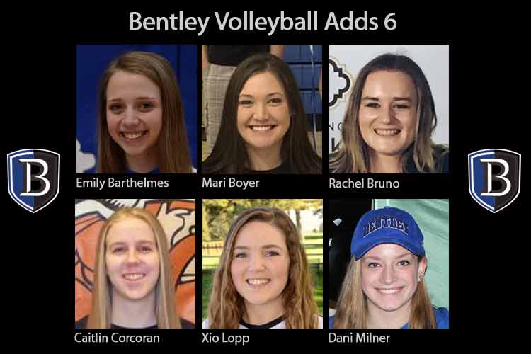 Bentley Volleyball Adds 6 to Roster;  All Hail from Different States