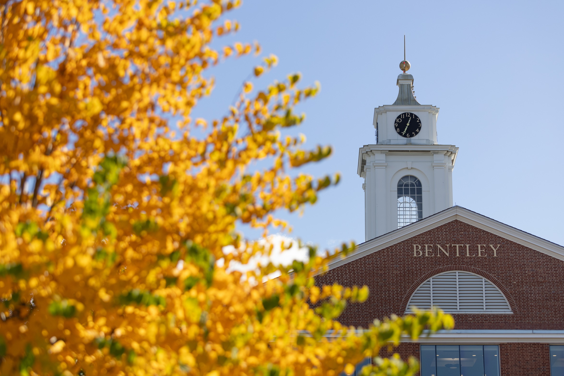 Bentley captures conference-leading 14 Academic All-NE10 honors
