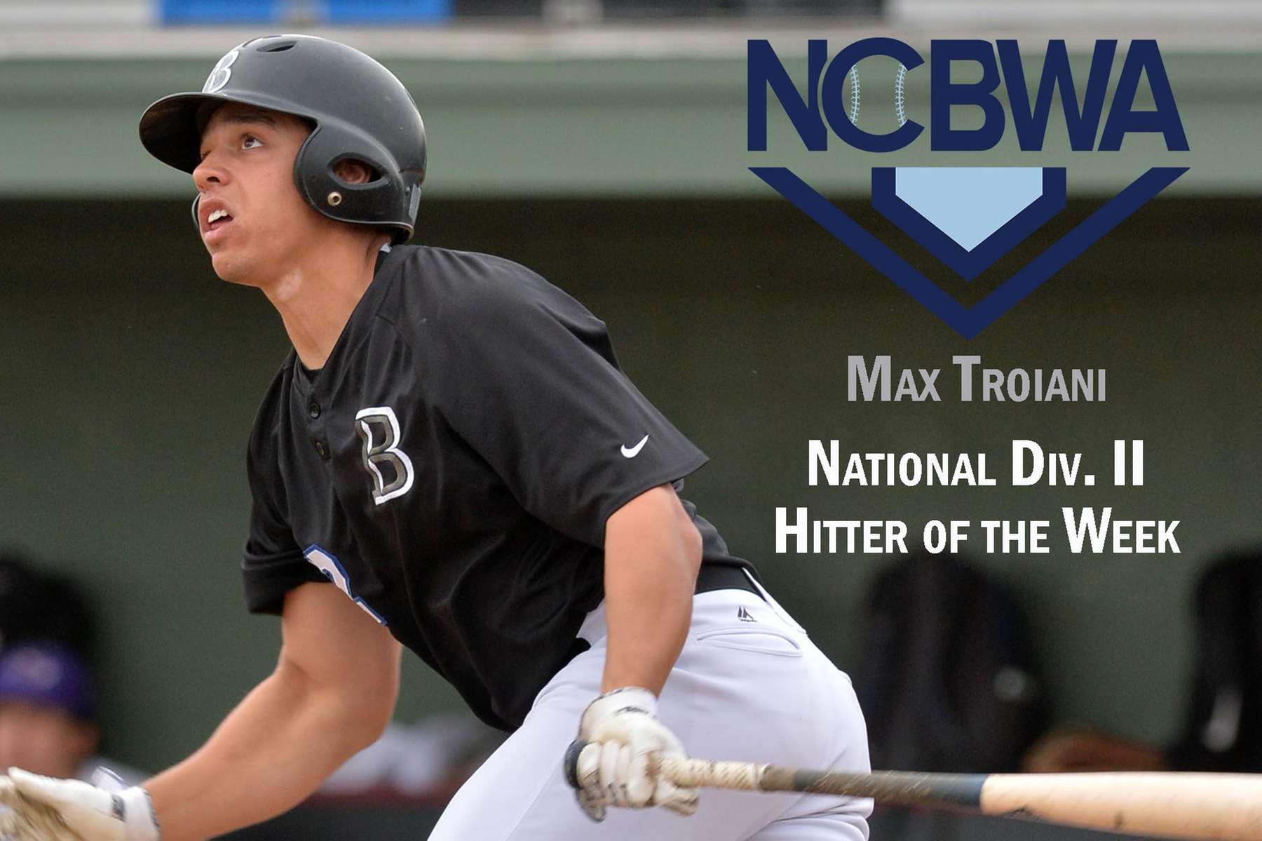 Troiani Named Division II National Hitter of the Week by NCBWA