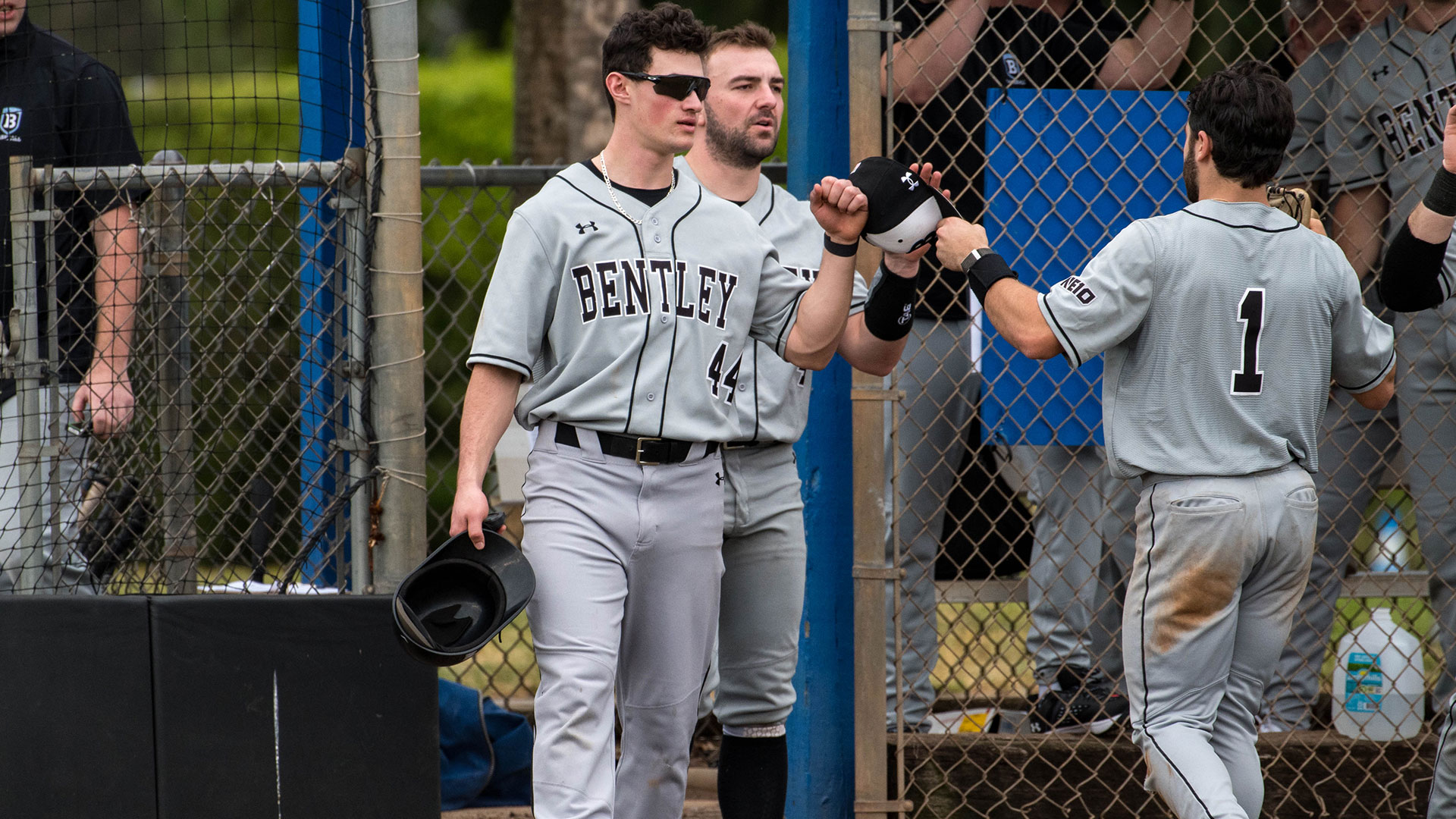 Bentley baseball heads to Myrtle Beach for four games this weekend