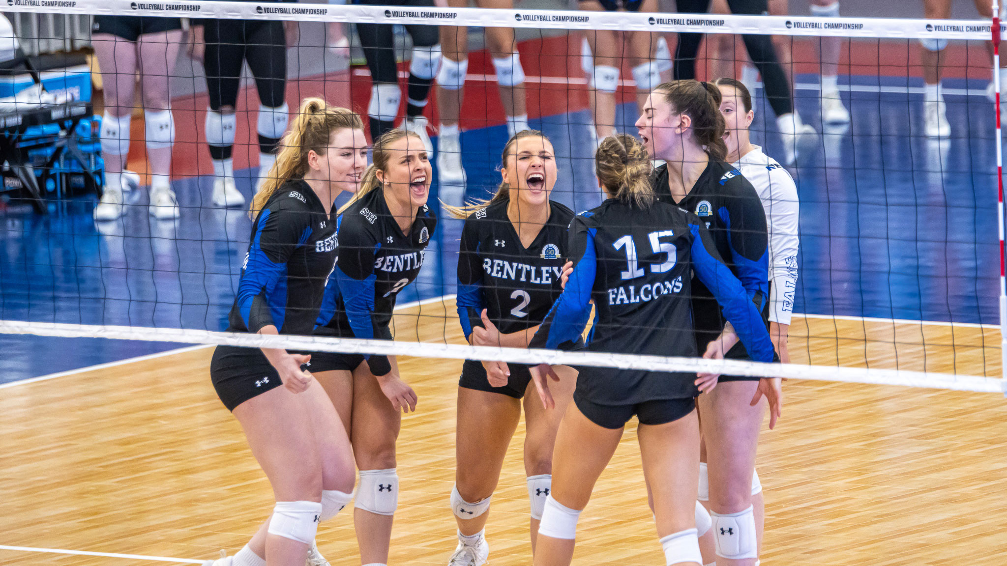 Bentley's historic volleyball team adds team academic honor