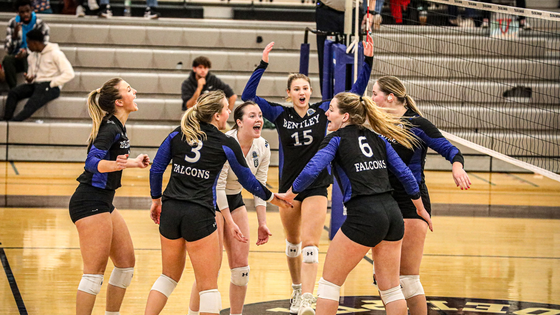 Rounds posts career-high 11 kills; Falcons beat Mercy to reach NCAA East Regional Championship