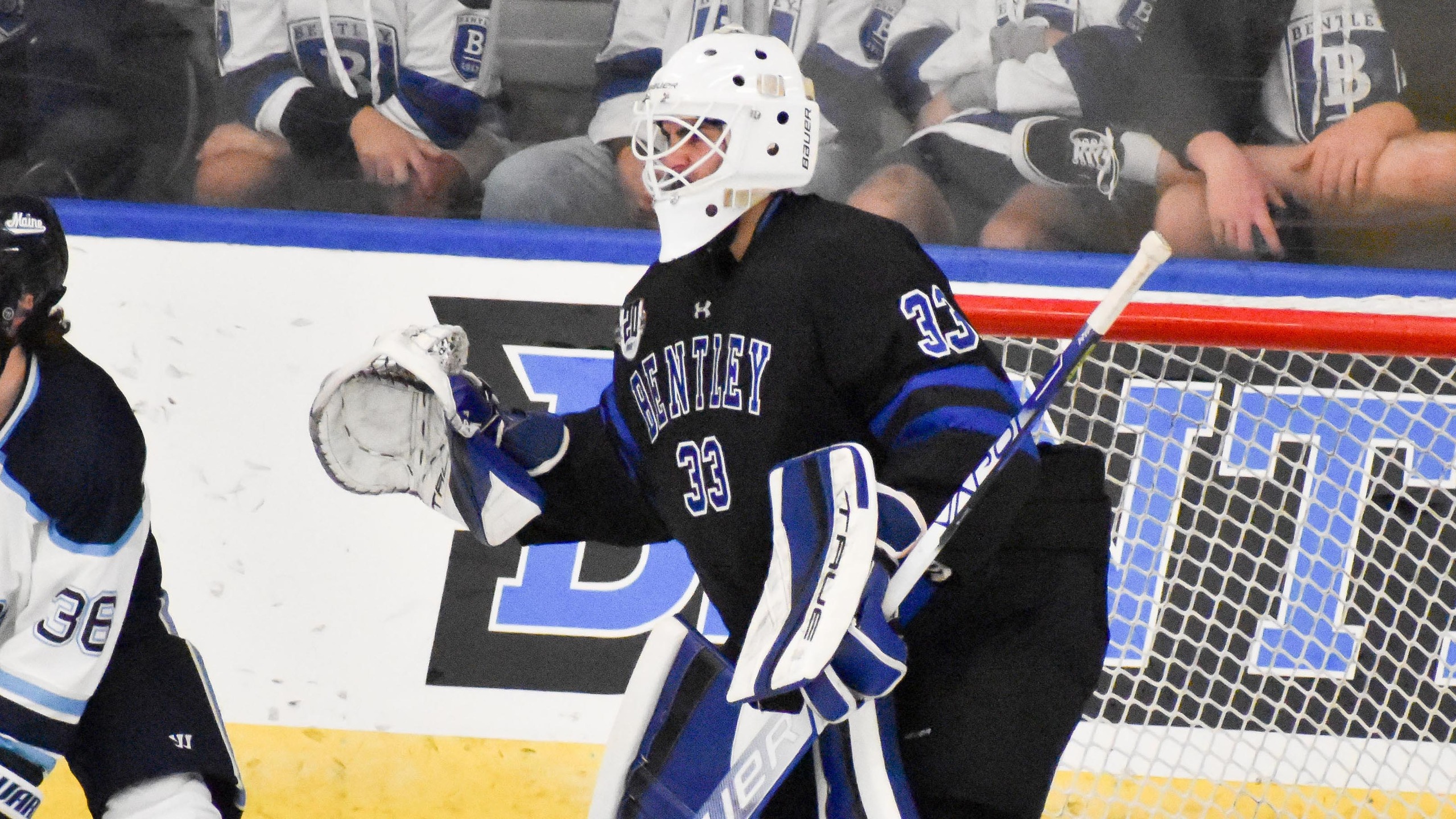 Air Force Tops Bentley 2-0 for Series Split; Hasley Makes 40 Saves